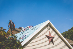 Homstar_random-1